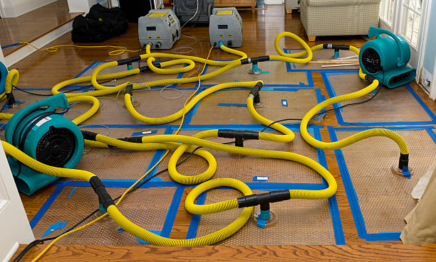 Professional Burst Pipe Water Damage technician working in Granville, WV