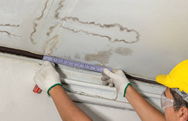 Affordable Water Damage Repair solutions in Granville, WV